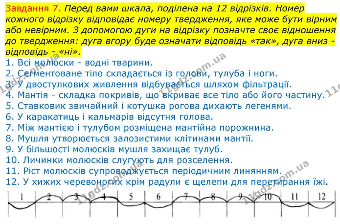 Стор. 36 — 7 — ГДЗ Робочий зошит з Біології 7 клас Яременко — ГДЗ Робочий зошит з Біології 7 клас Яременко