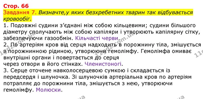 Стор. 66 — 7 — ГДЗ Робочий зошит з Біології 7 клас Яременко — ГДЗ Робочий зошит з Біології 7 клас Яременко