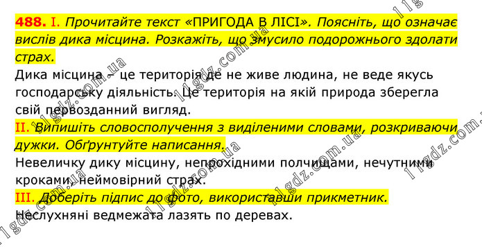 488 » ПРИКМЕТНИК » ГДЗ Українська мова 6 клас Заболотний (2023)