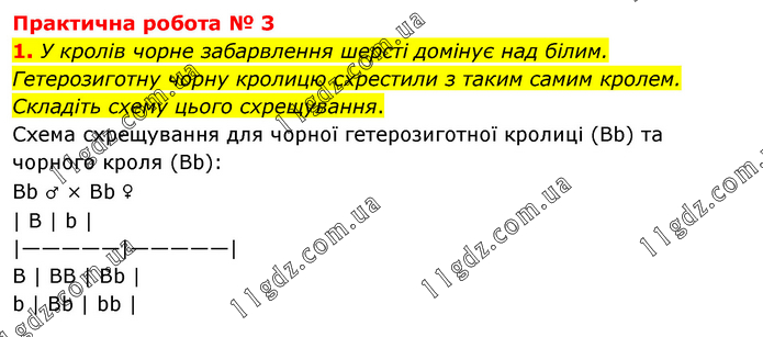 Пр.3 (1) » Практичні роботи » ГДЗ Біологія 9 клас Шаламов